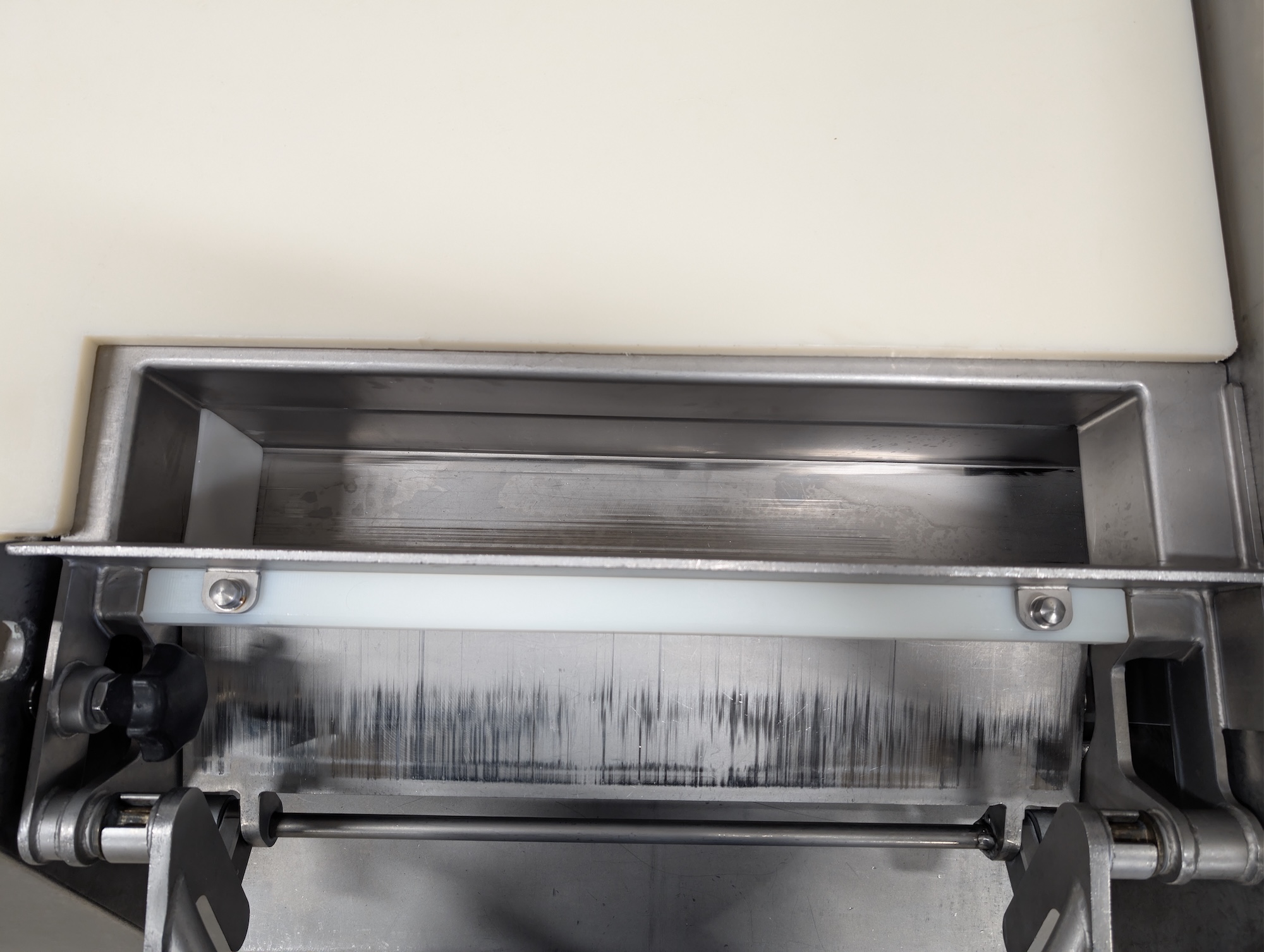 Used Treif Argon dicer