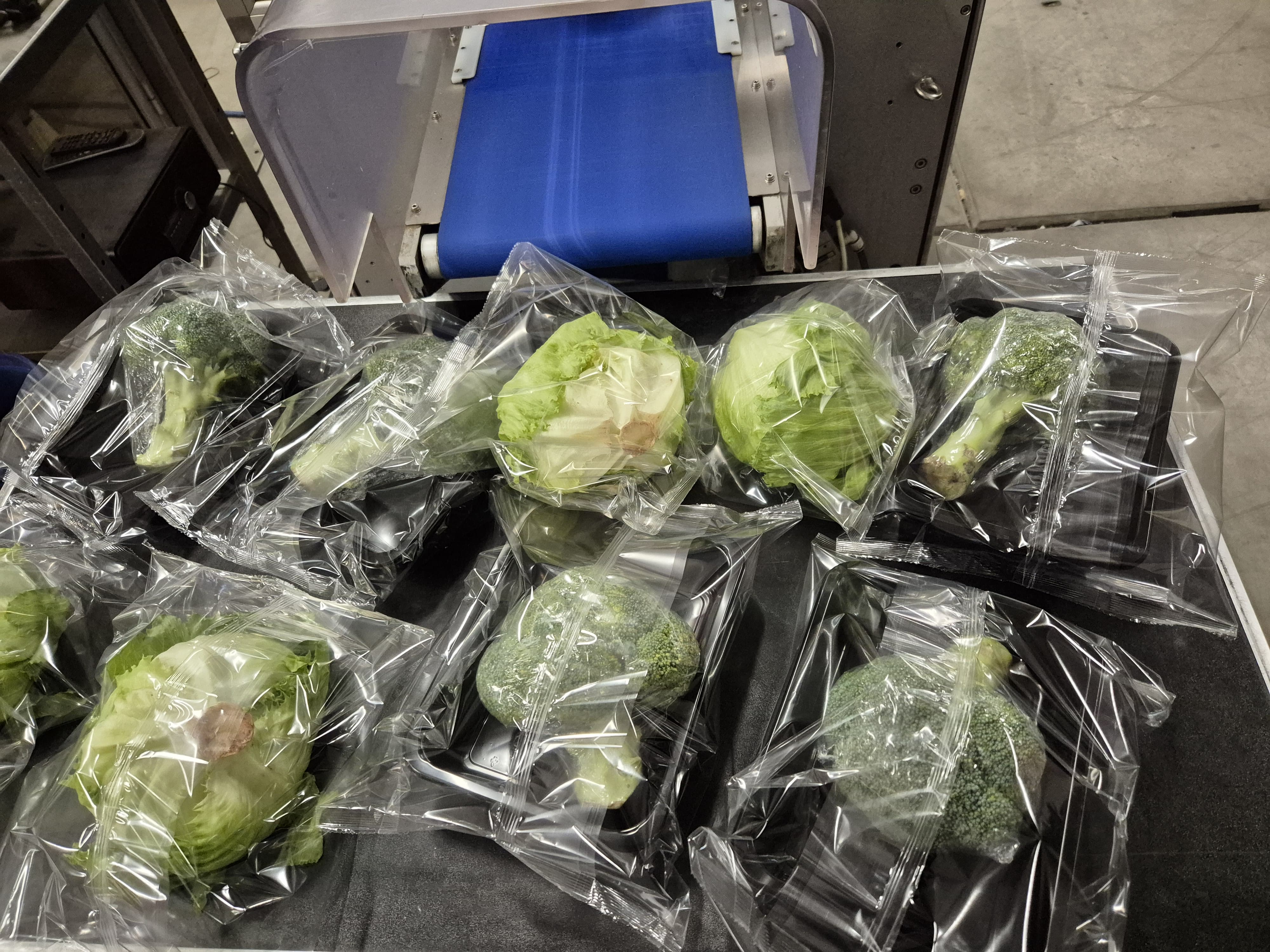 Used Ulma PV350 LSHIX