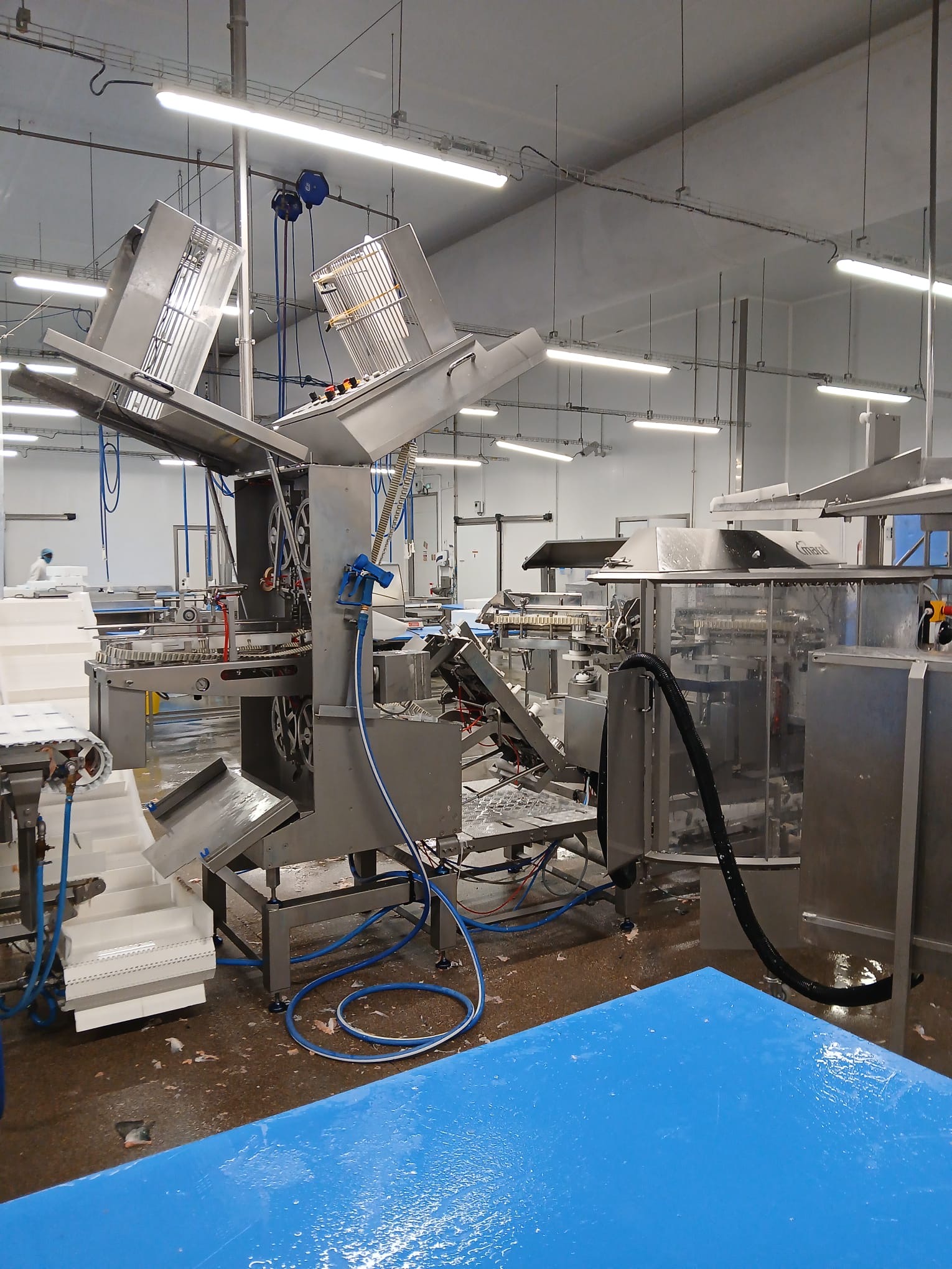 Used 2012 Marel 2630 filleting line with 2620 and knife sharpener