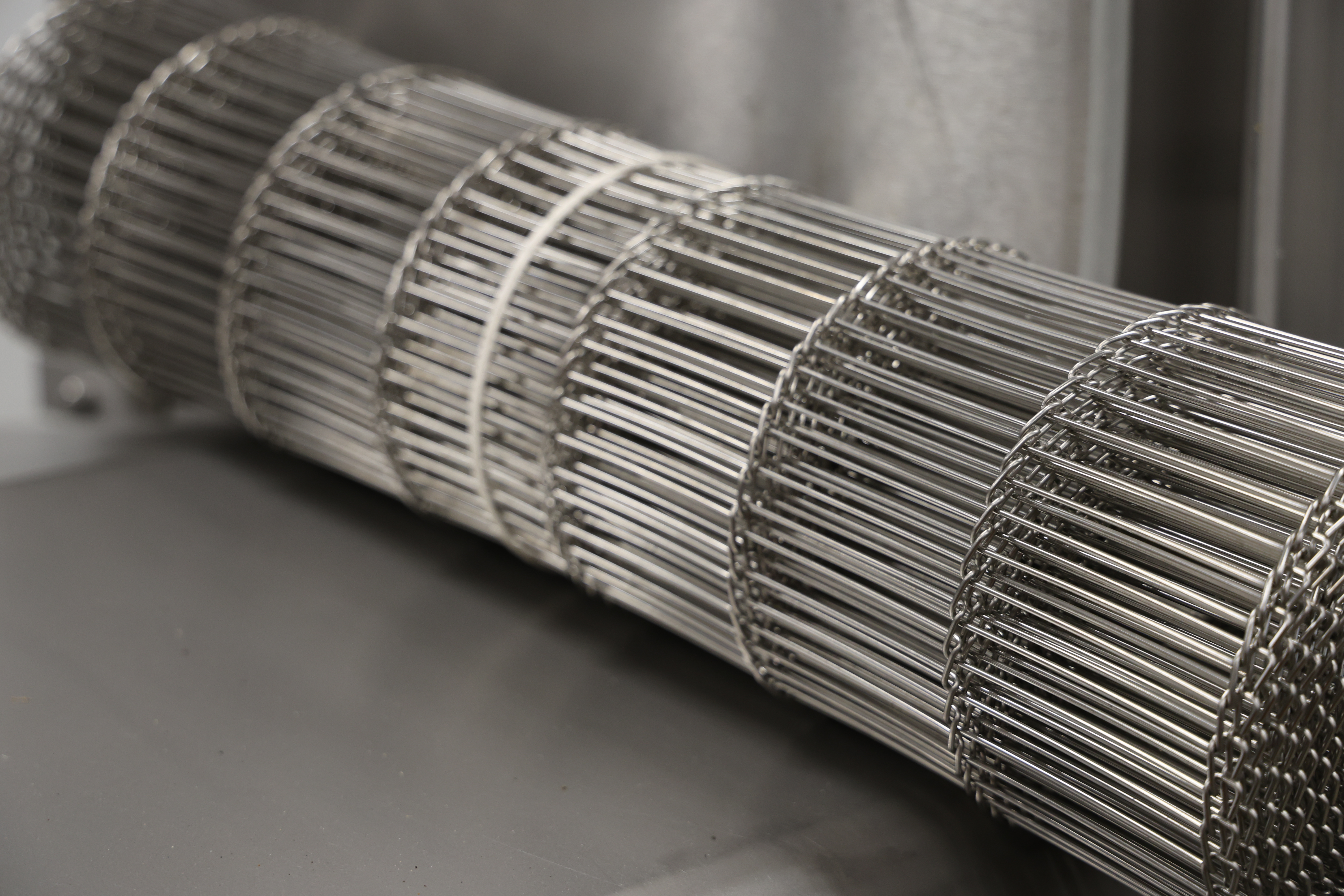 Used 2017 Marel Fillet washer