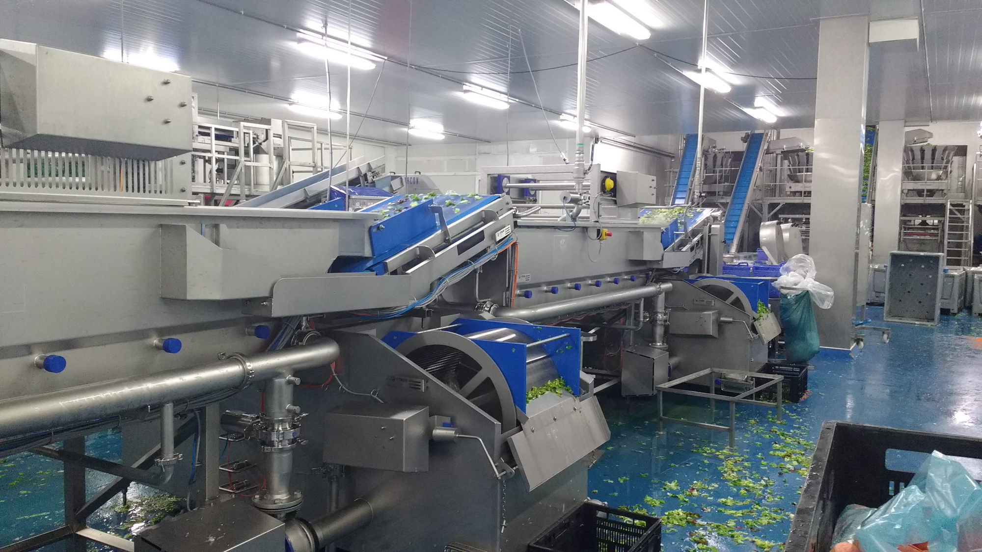 Used 2017 FTNON Turatti complete high capacity washing and drying line