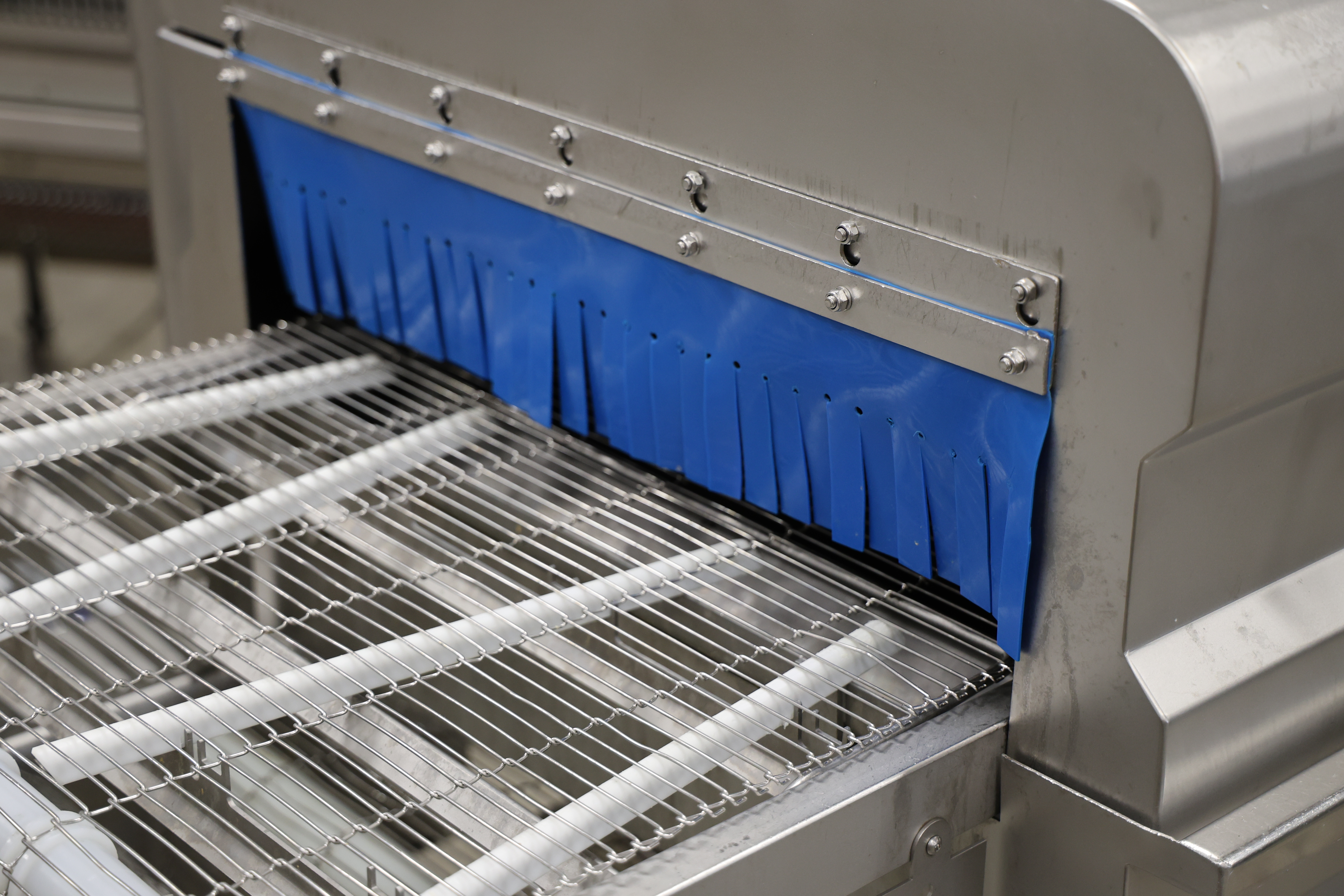 Used 2017 Marel Fillet washer