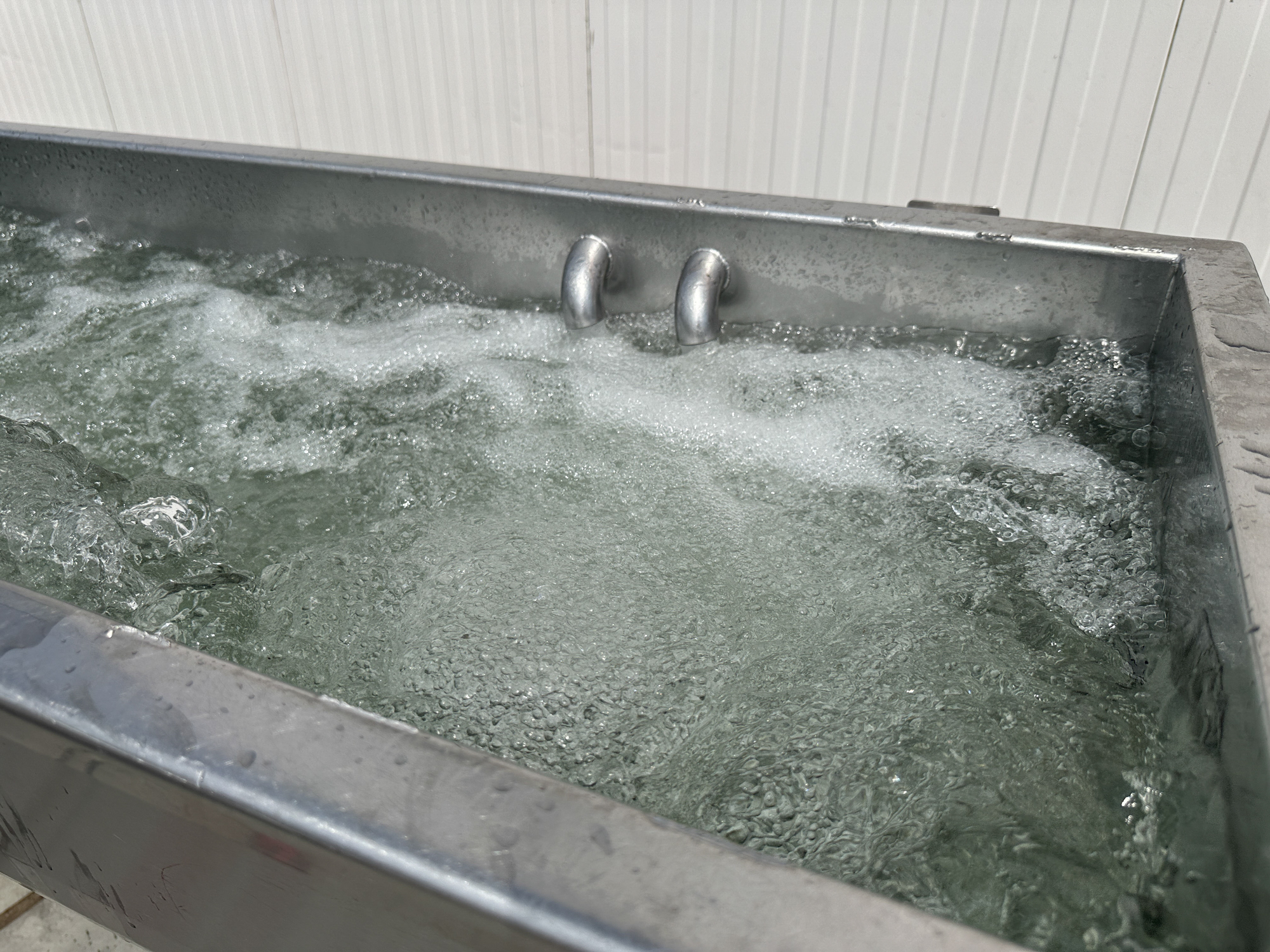 Used Eillert GWT flume washer