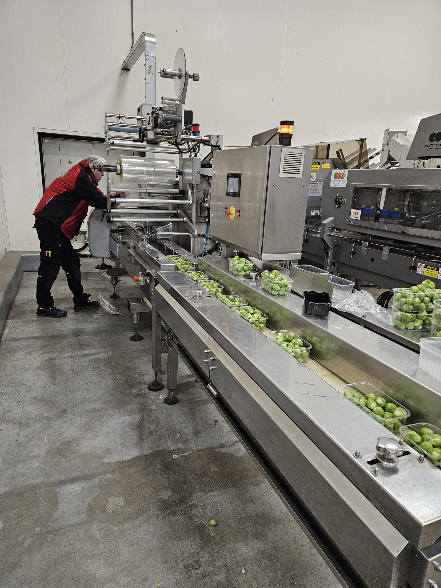 Used Record PANDA MD-ST with automotion automatic infeed