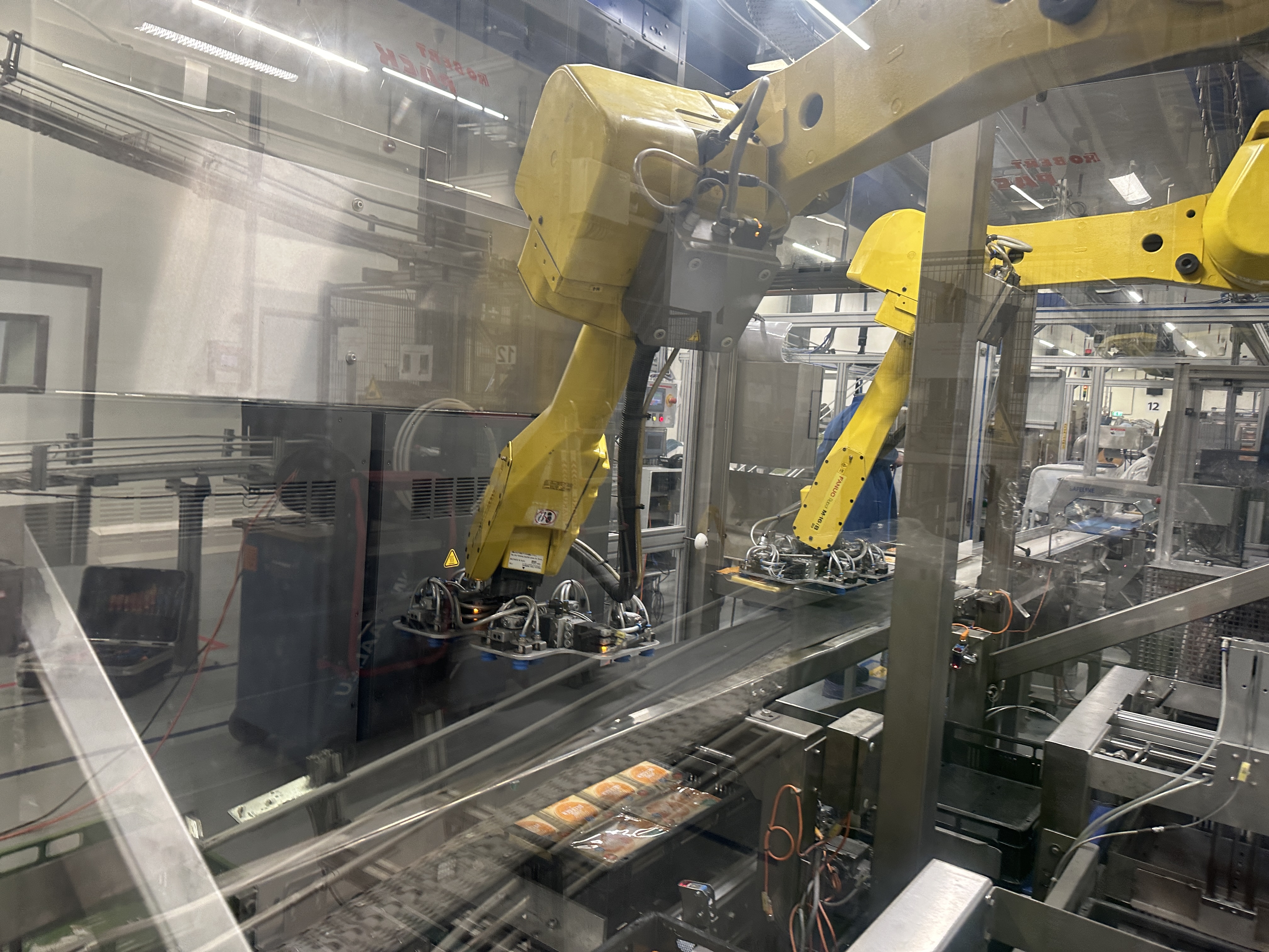 Used Multivac R530 complete line with Weber