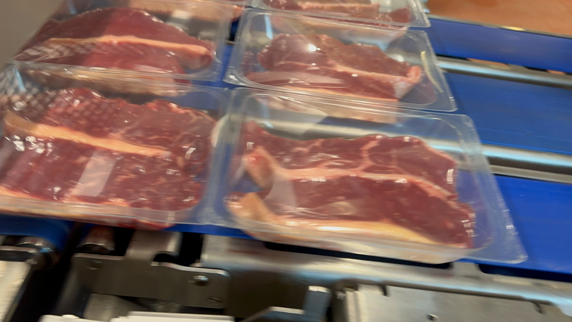 Used 2006 Multivac R570CD skin and MAP thermoformer