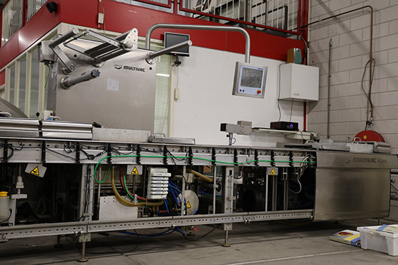 Used 2010 Multivac R245