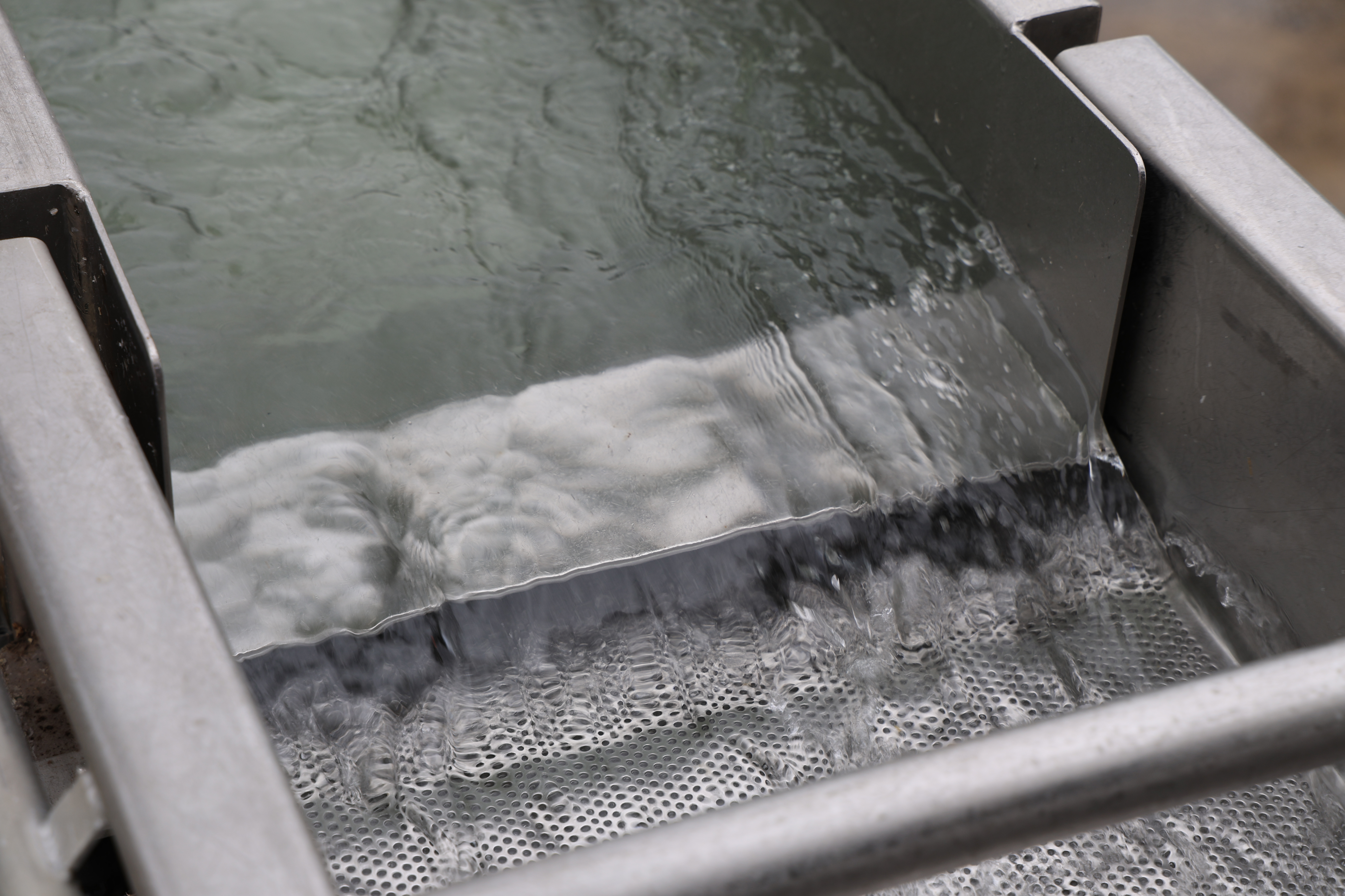 Used Eillert GWT5-350 vegetable washer