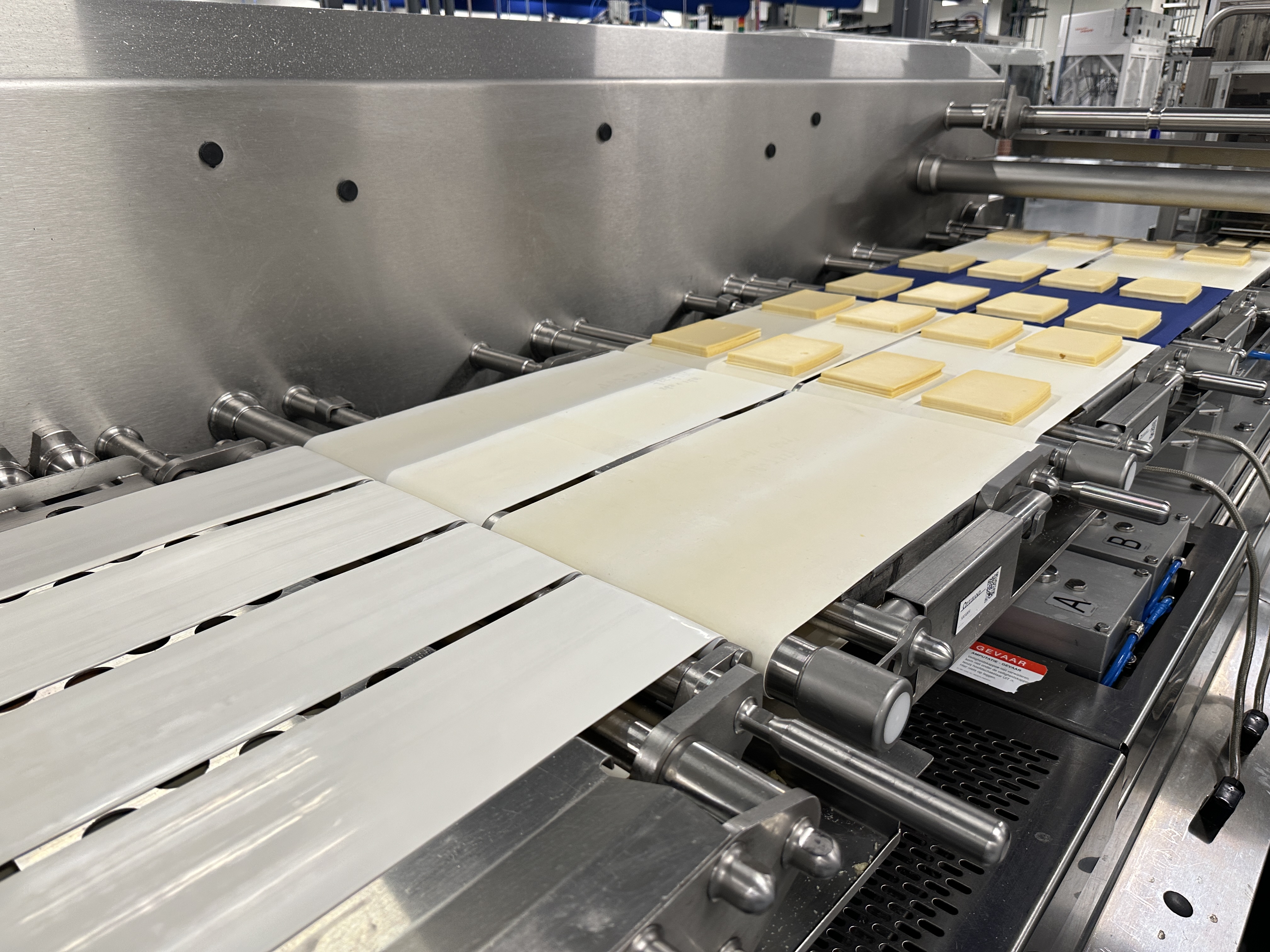 Used Multivac R530 complete line with Weber