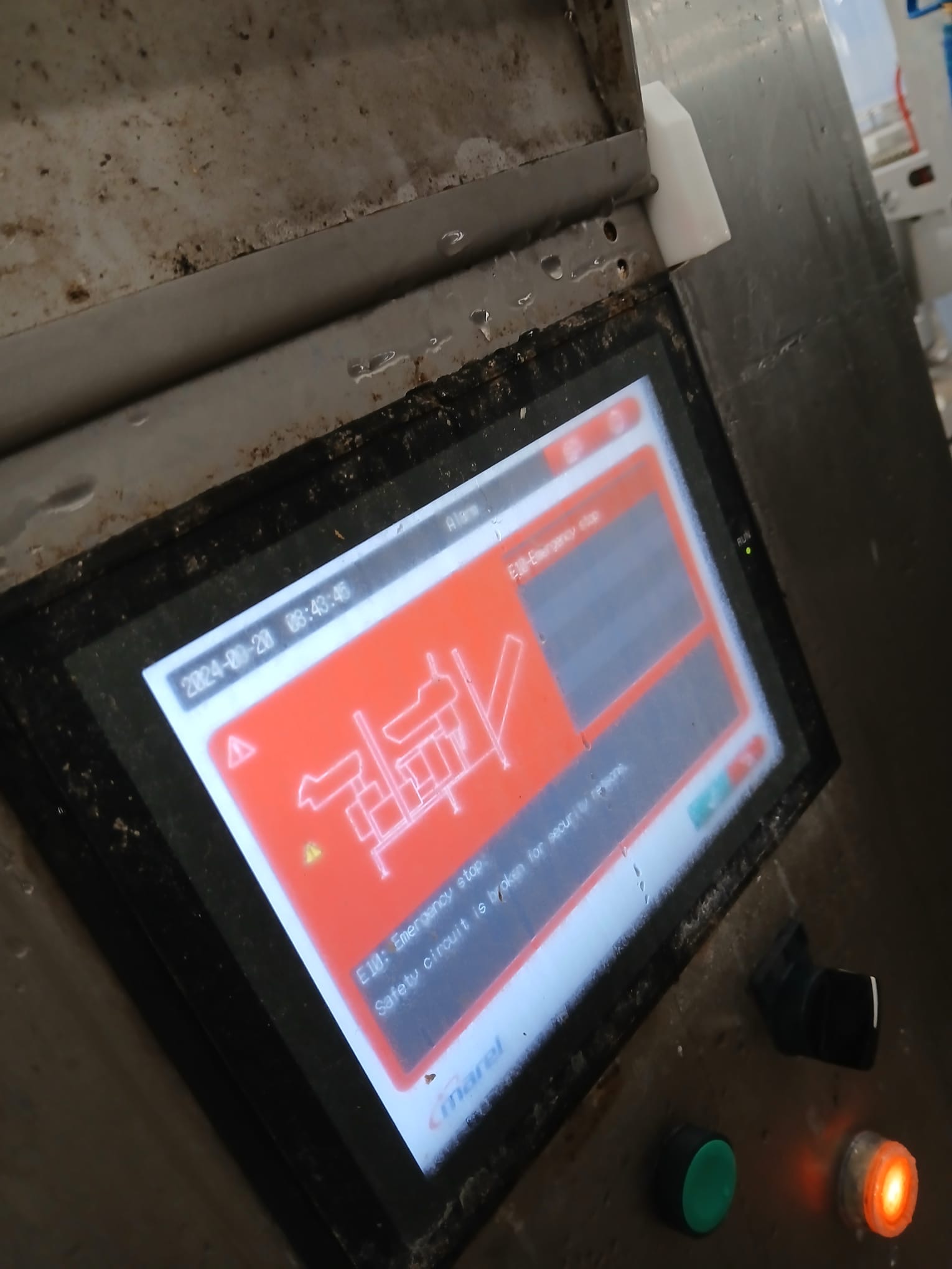 Used 2012 Marel 2630 filleting line with 2620 and knife sharpener