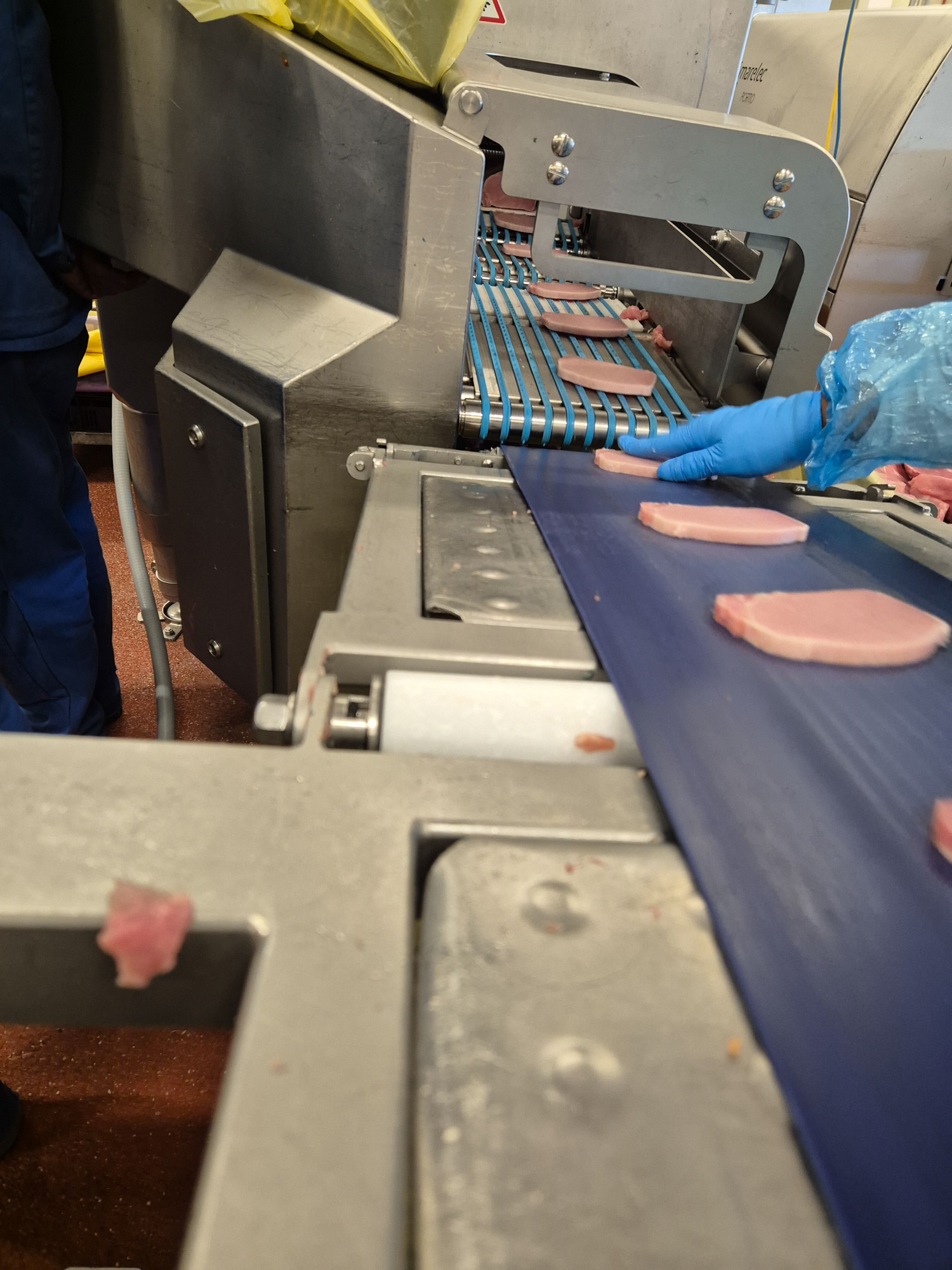 Used Treif Falcon Hybrid Treif Falcon Hybrid