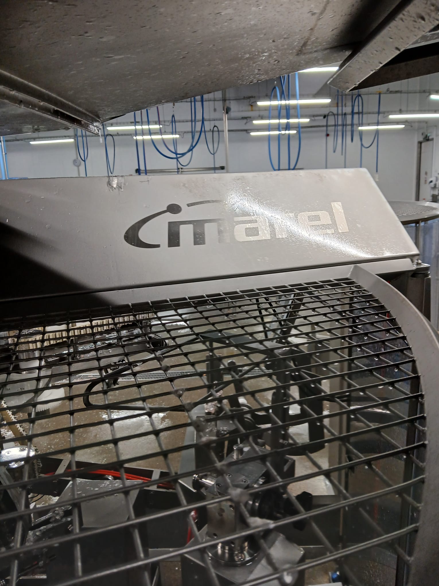 Used 2012 Marel 2630 filleting line with 2620 and knife sharpener