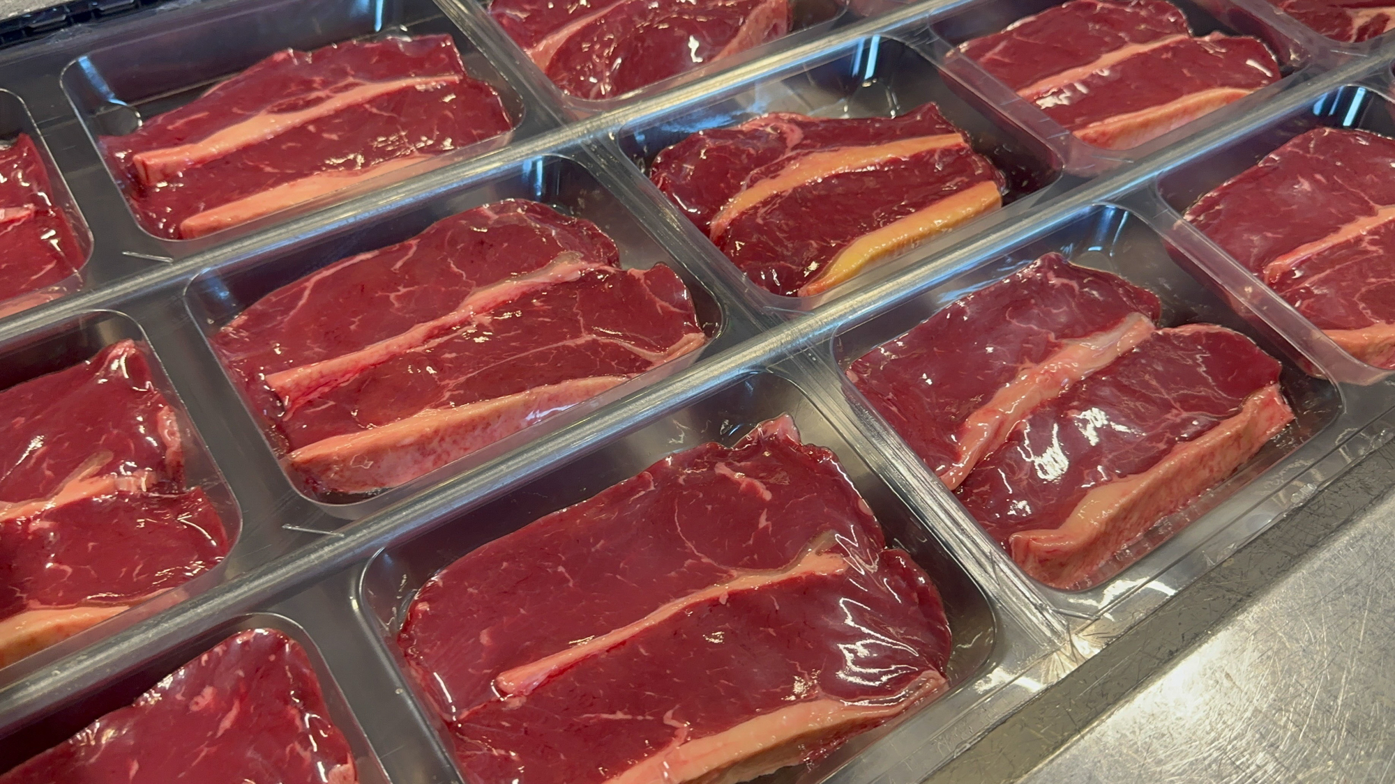 Used 2006 Multivac R570CD skin and MAP thermoformer