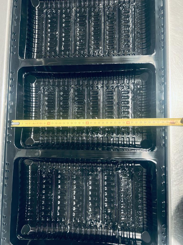 Used 2010 Multivac R126 thermoformer