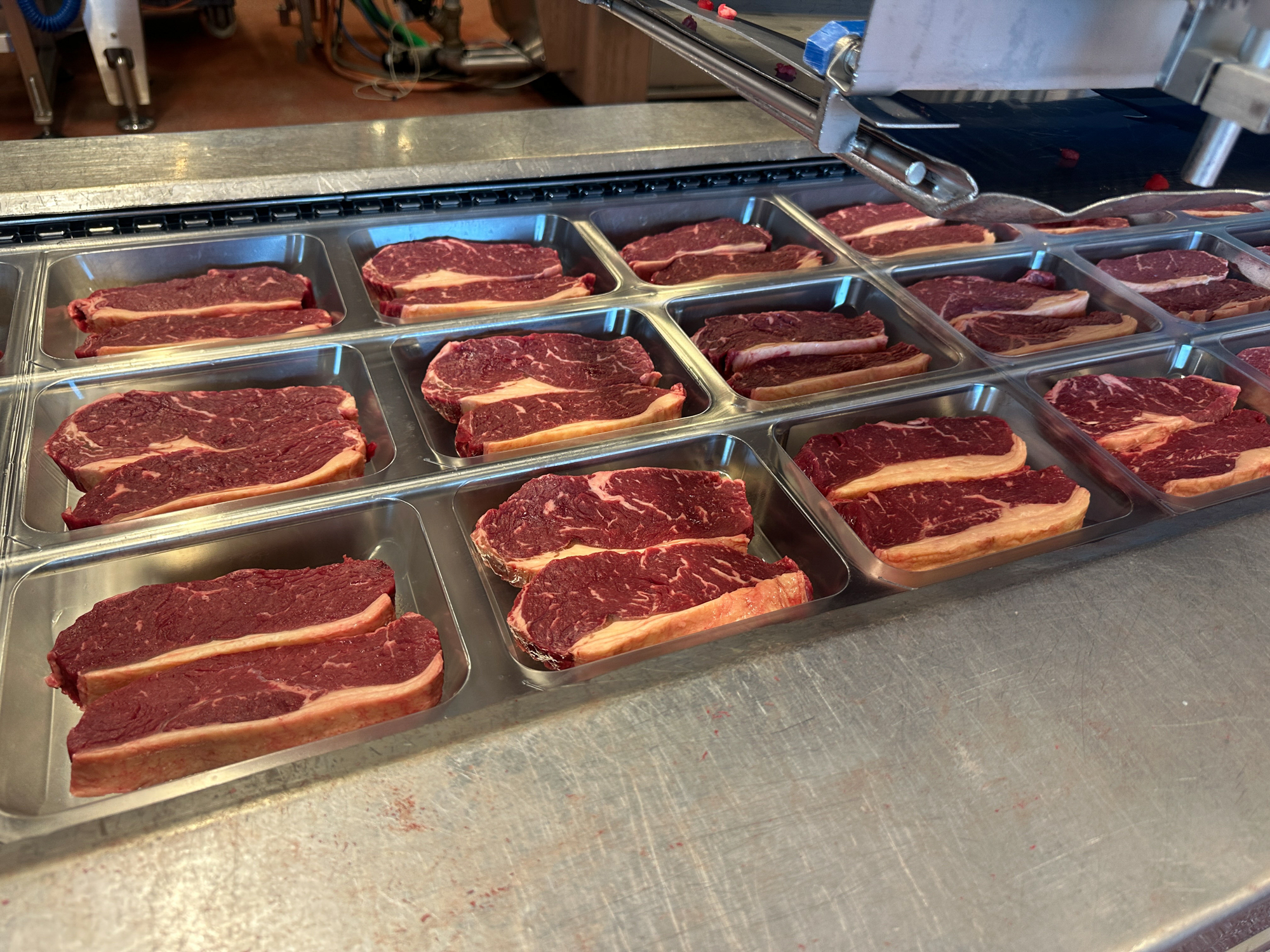 Used 2006 Multivac R570CD skin and MAP thermoformer