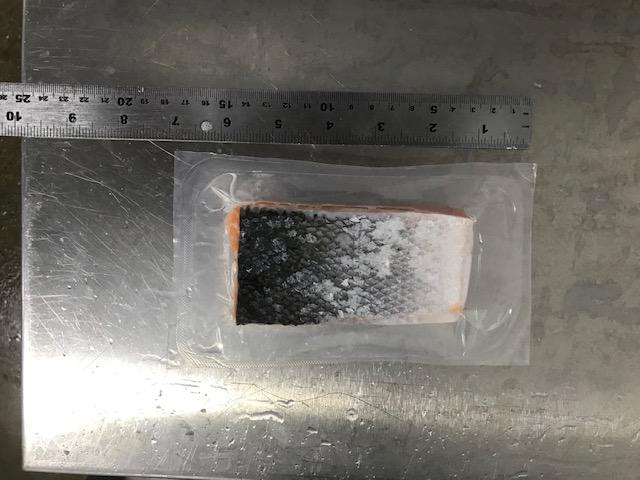 Used 2015 Variovac primus thermoformer