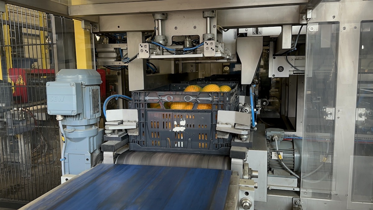 Used 2016 Case packing systems