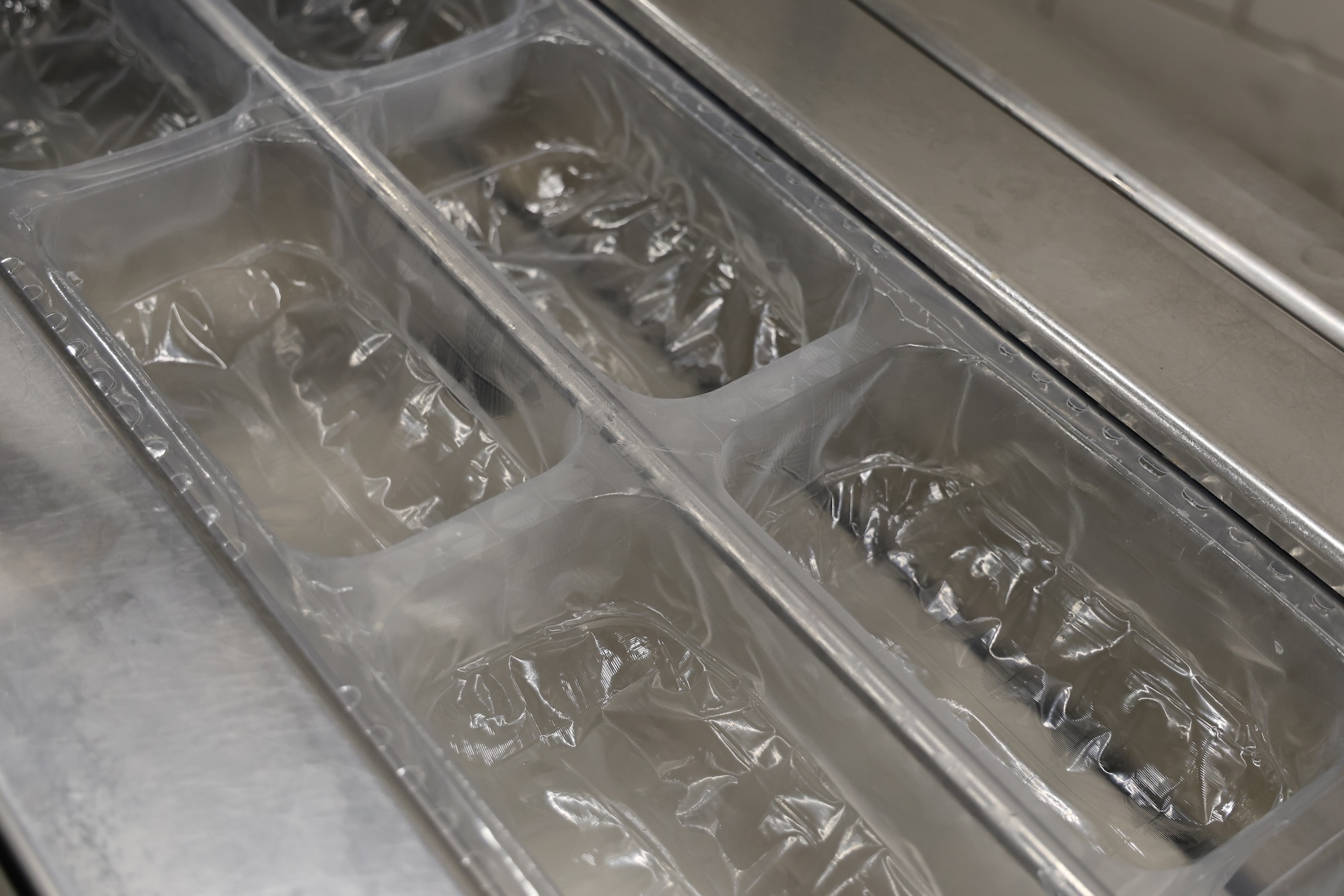 Used 2008 Multivac R245