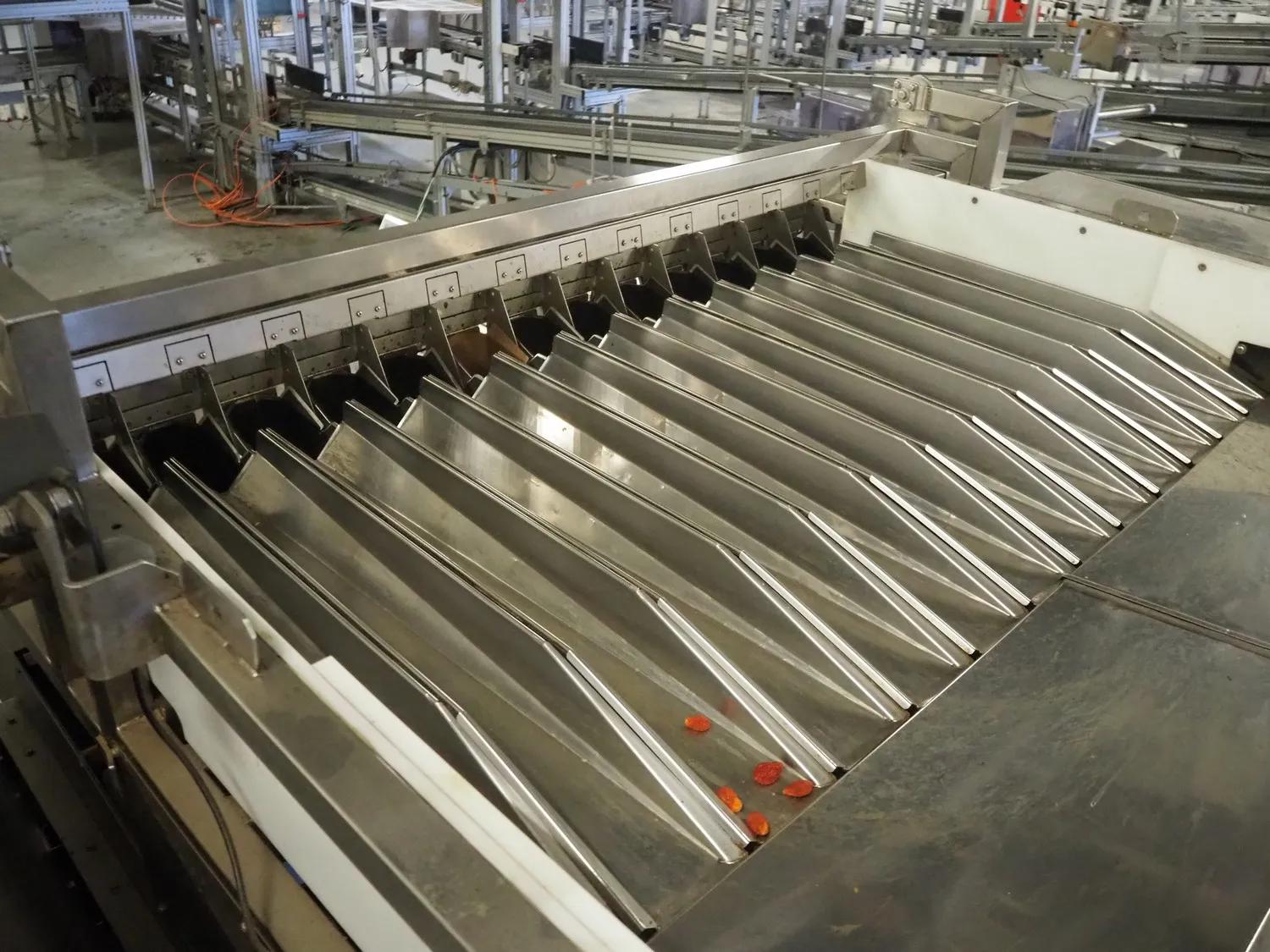 Used Newtec H3013MD Lineair weighing line