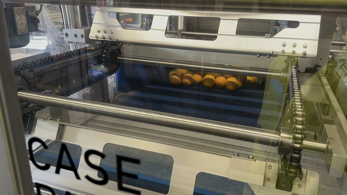 Used 2016 Case packing systems