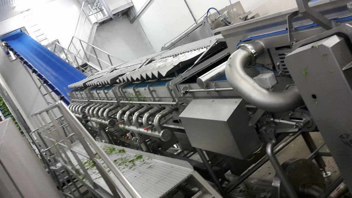 Used 2017 FTNON Turatti complete high capacity washing and drying line