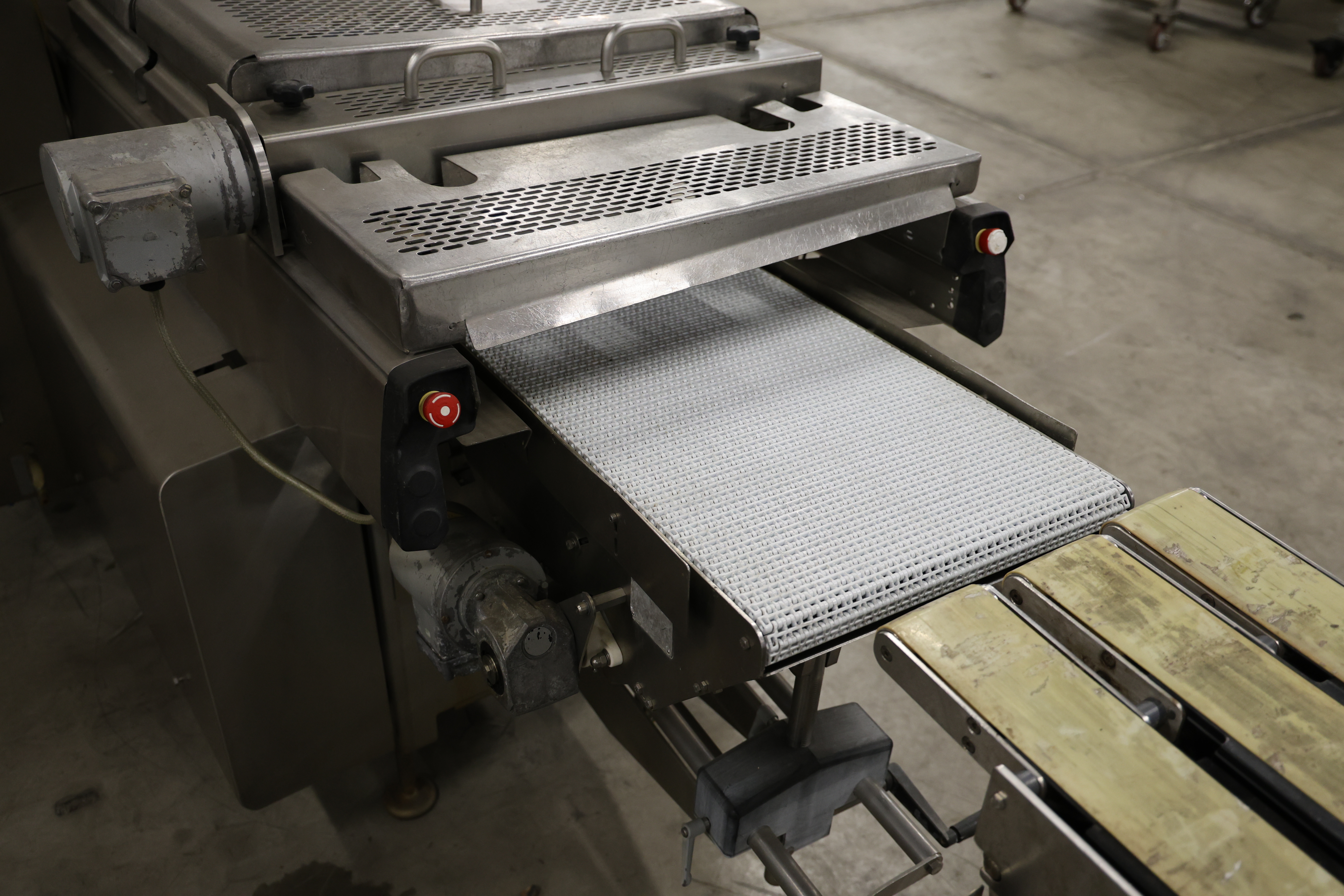 Used 2010 Multivac R245