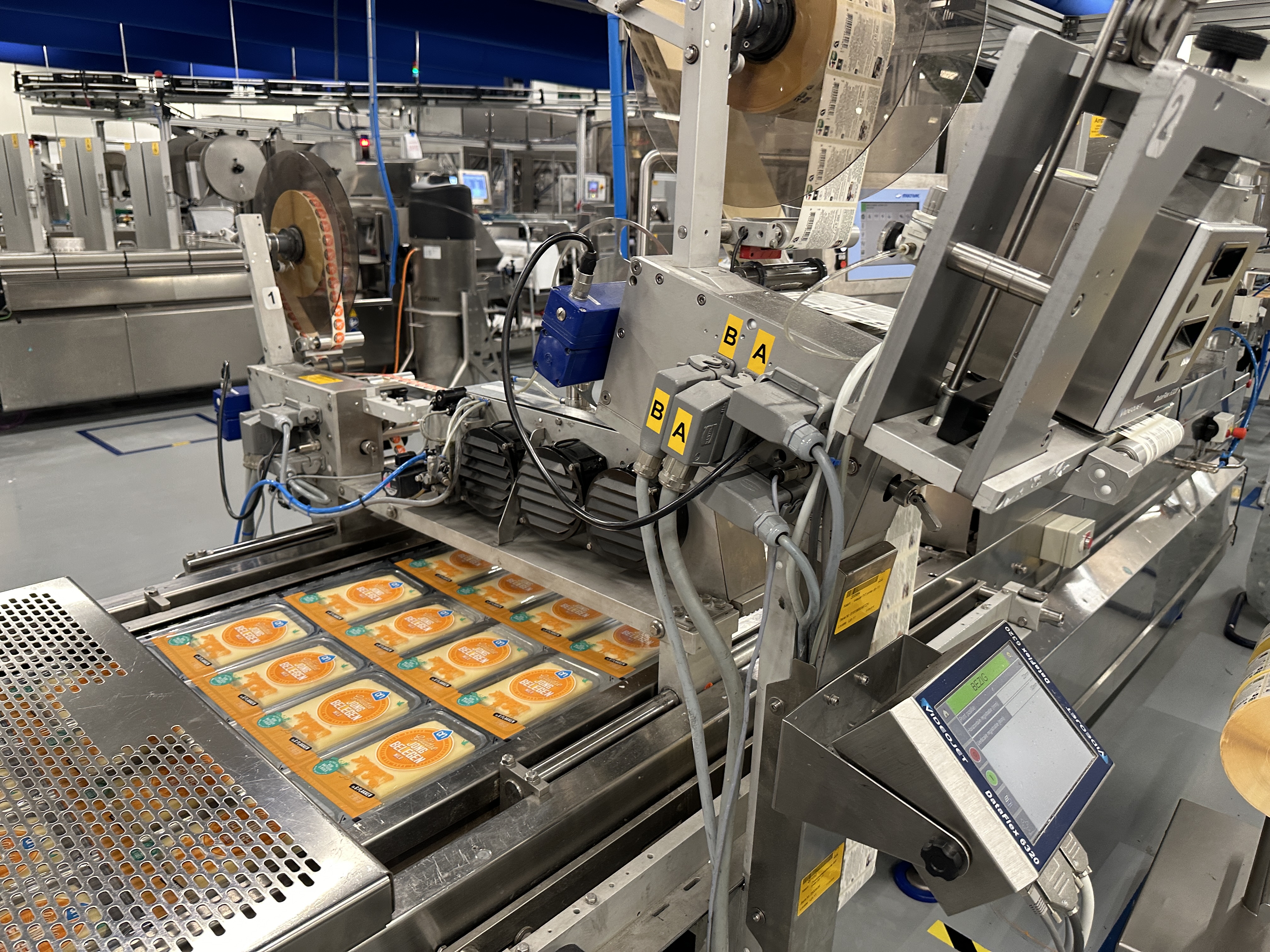 Used Multivac R530 complete line with Weber