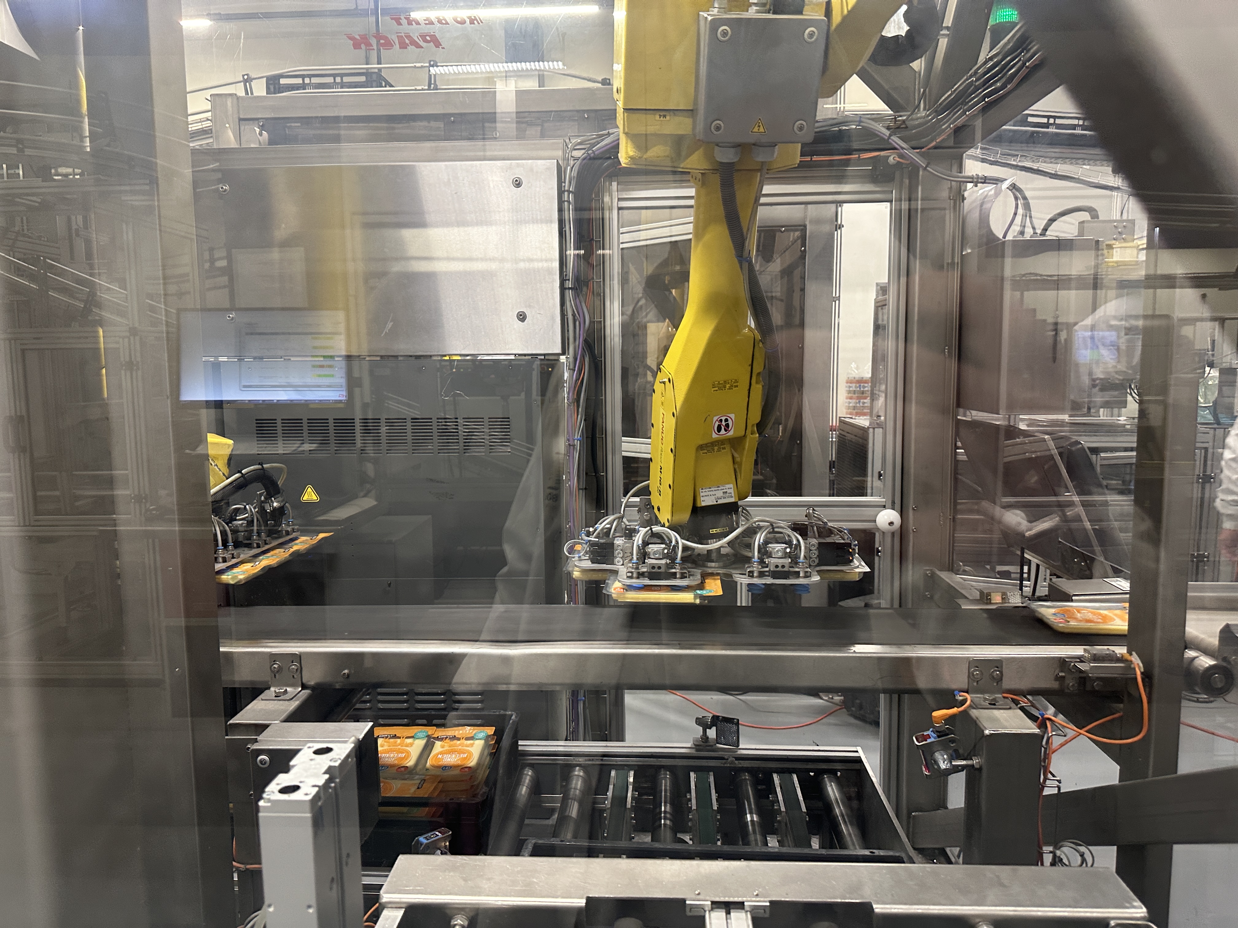 Used Multivac R530 complete line with Weber