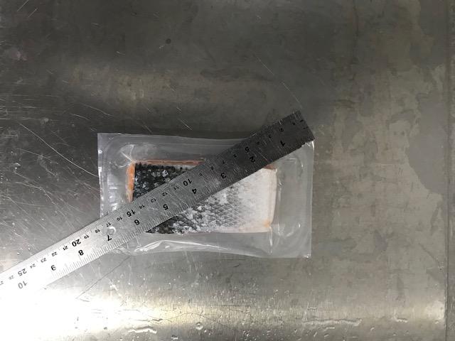 Used 2015 Variovac primus thermoformer