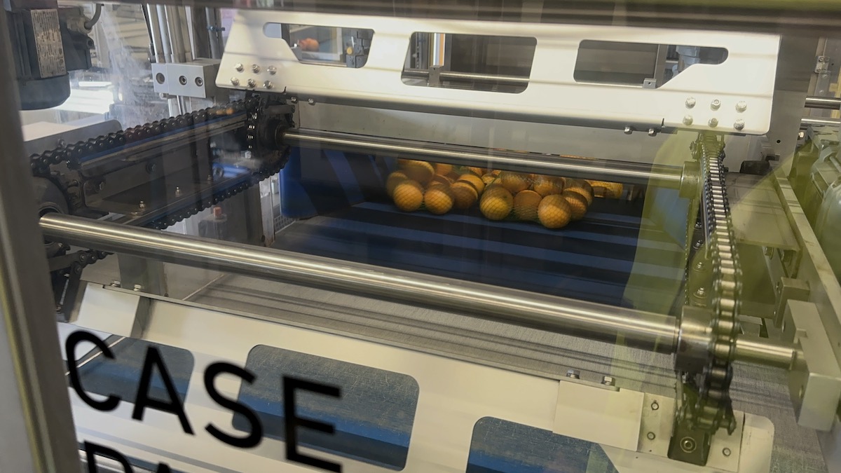 Used 2016 Case packing systems