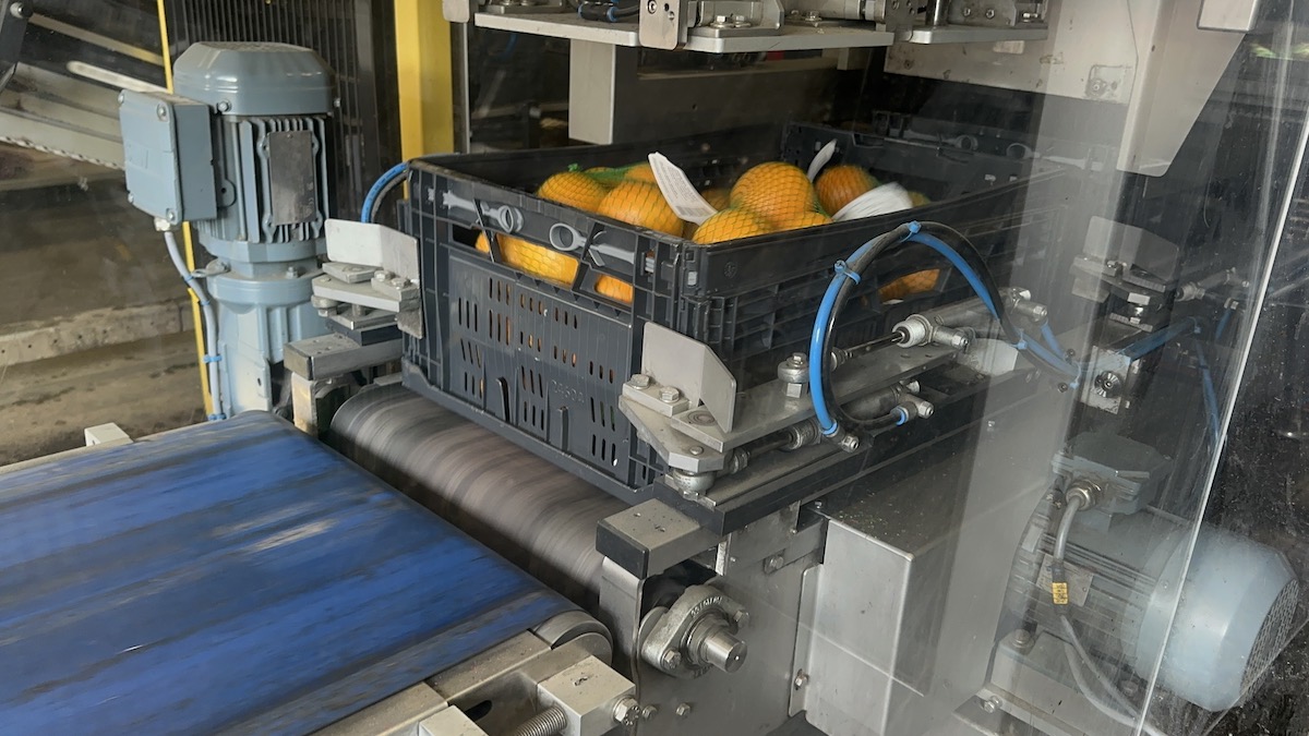 Used 2016 Case packing systems