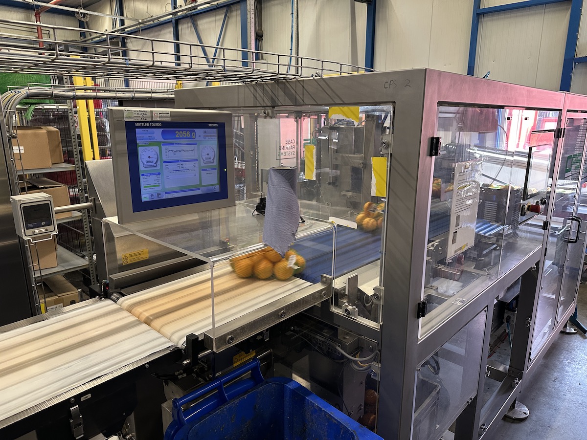 Used 2016 Case packing systems