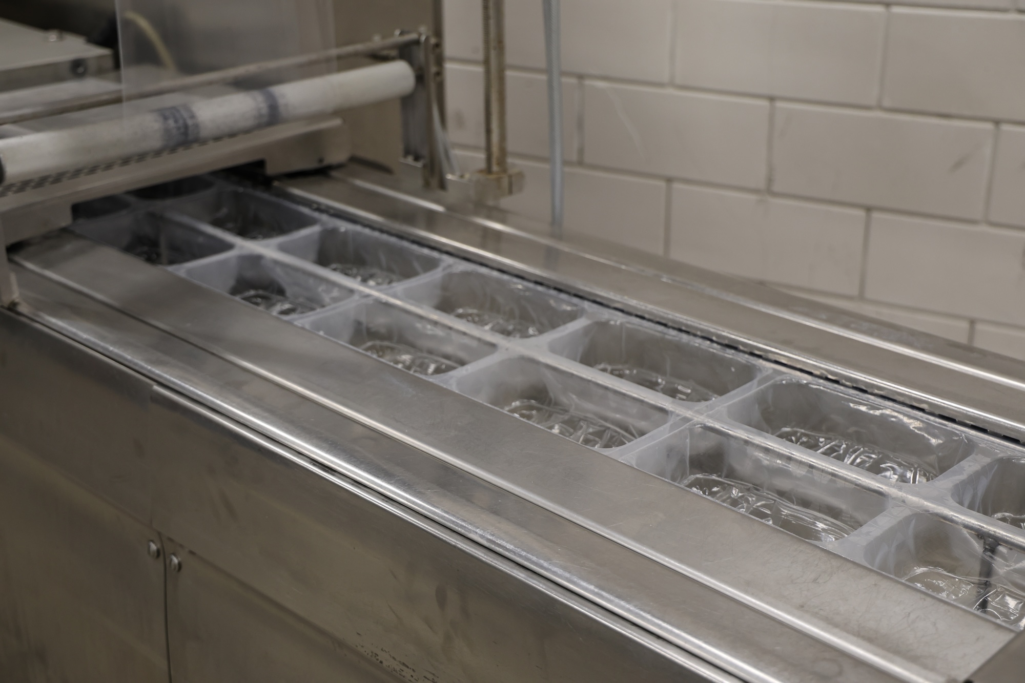 Used 2008 Multivac R245