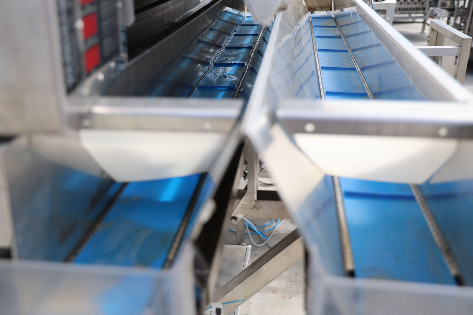 Used Newtec 2012DG weigher