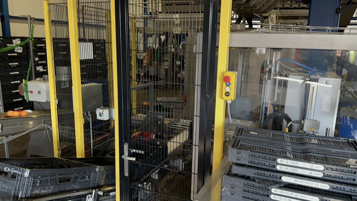 Used 2016 Case packing systems