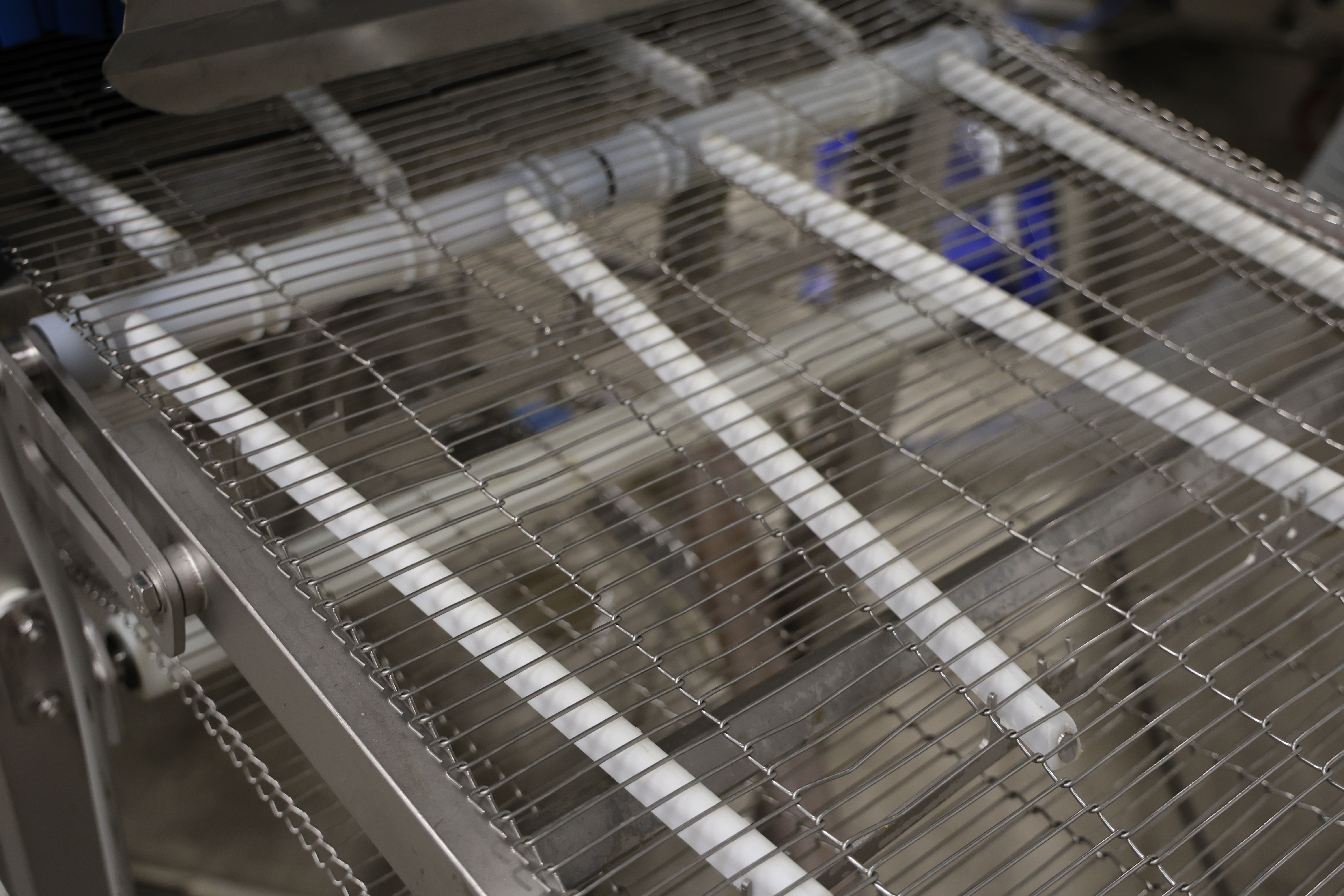 Used 2017 Marel Fillet washer