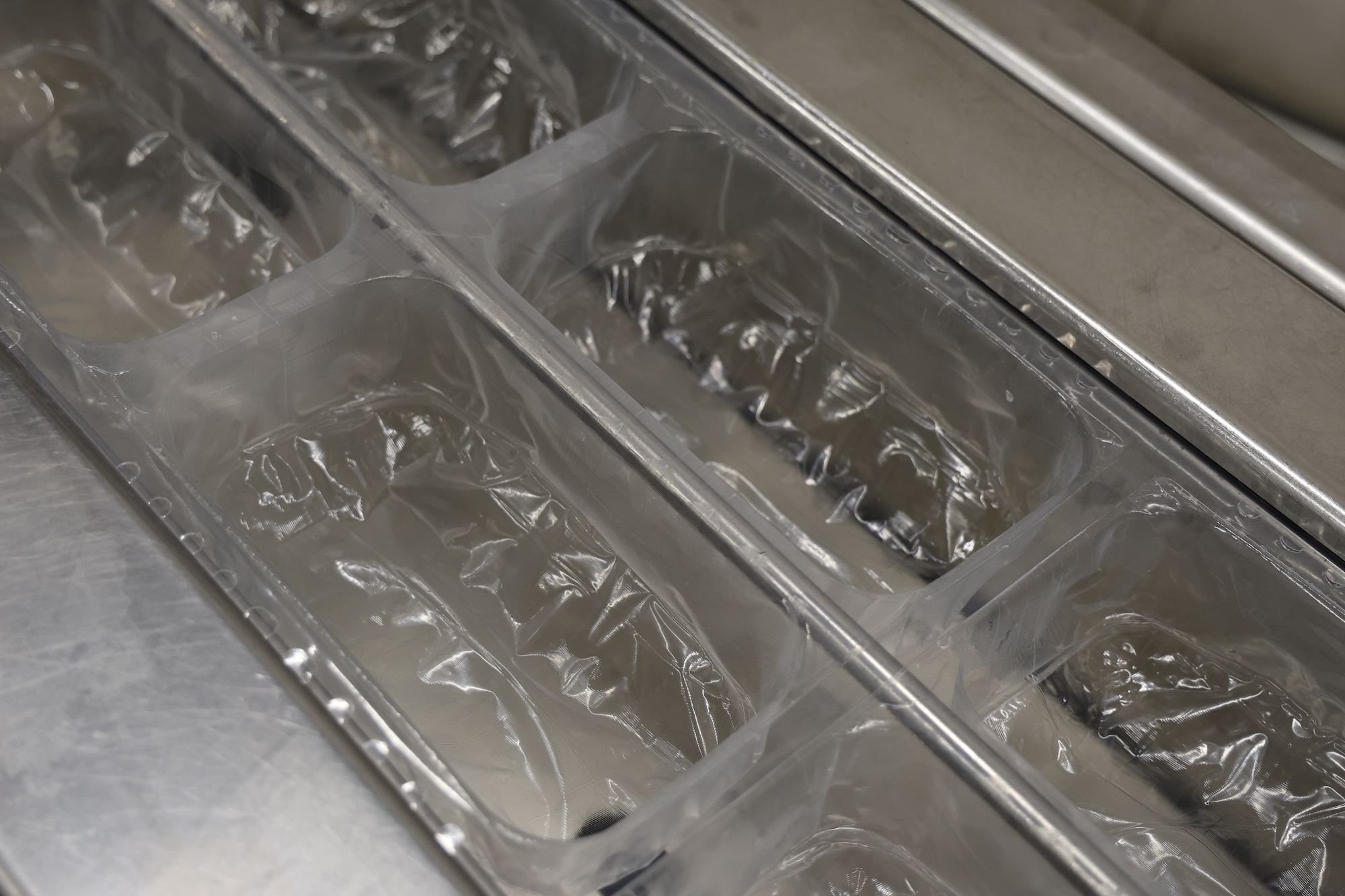 Used 2008 Multivac R245