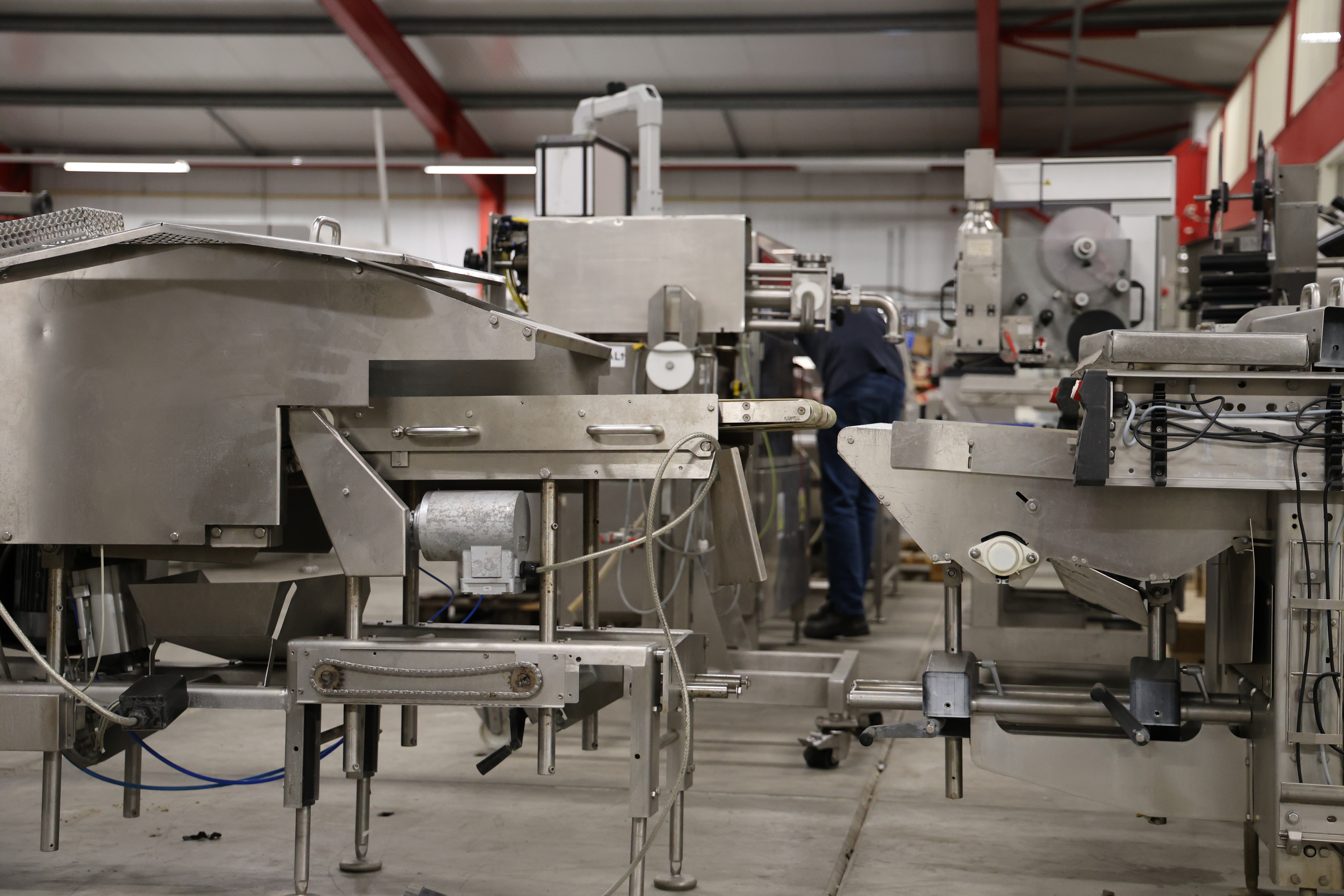 Used 2010 Multivac R245