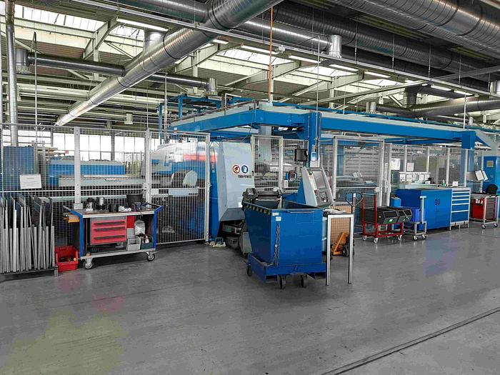 Used  Finn-Power & Salvagnini FMSs (Used) #3984