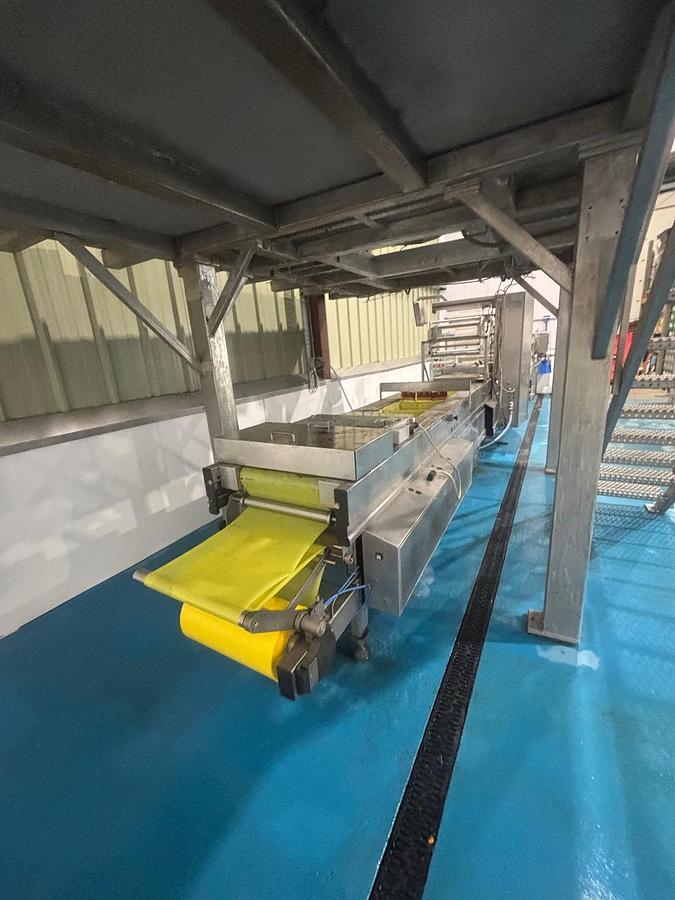 Used 2000 Multivac R530