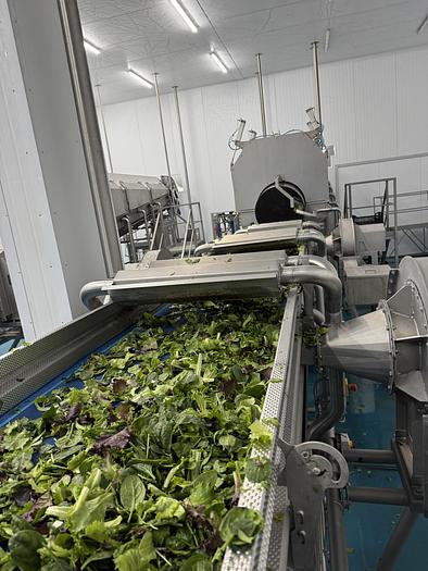 Used 2023 Somac full salad wash + dry salad line