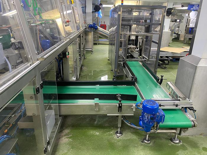 Used 2011 Case Packing Systems (CPS) CP201