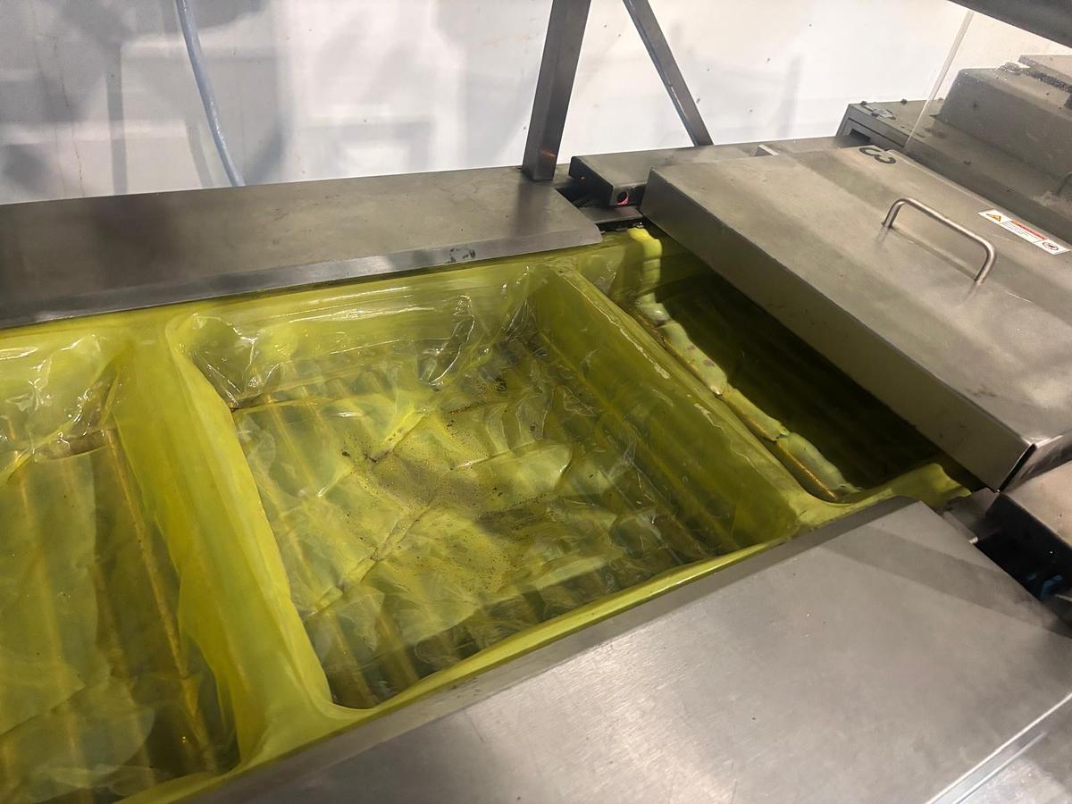 Used 2000 Multivac R530