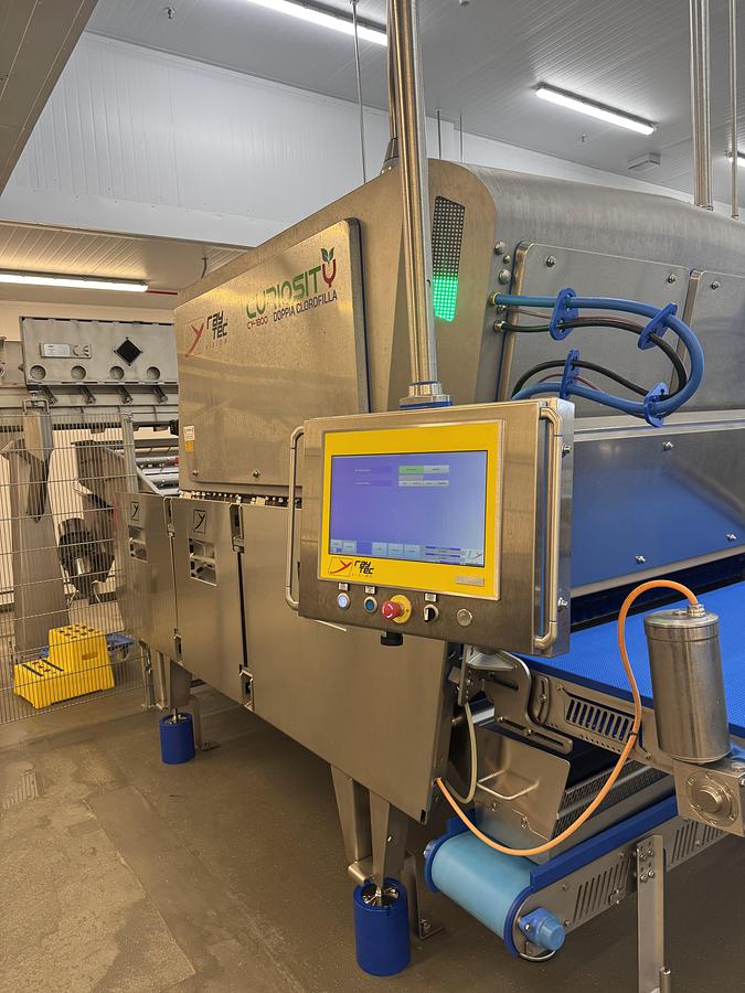 Used 2025 Raytec Curiosity (OY-1800-J-DC)