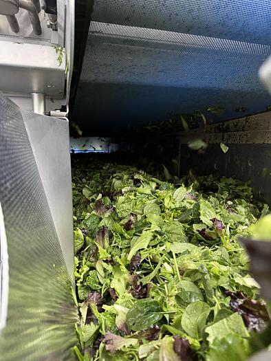 Used 2023 Somac full salad wash + dry salad line