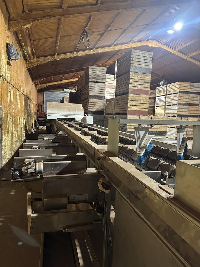 Used MAF RODA grader