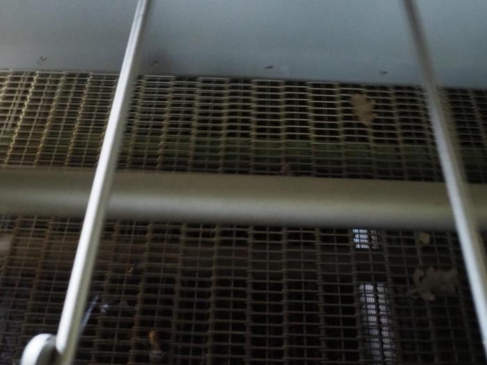 Used 2007 Bruynooghe Bunch washer