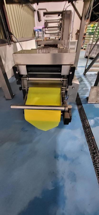 Used 2000 Multivac R530