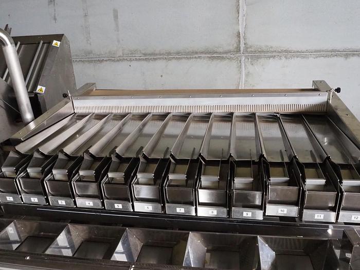 Used 2020 Tag SRL Brigitta12 Weighing and packing line with denester