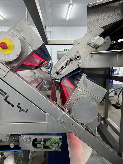 Used Raytec optical sorter